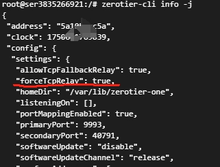 zerotier-tcp-1.png