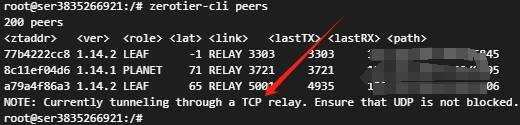 zerotier-tcp-2.png